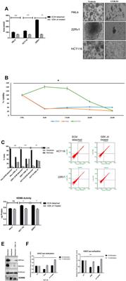 The Histone H3K27me3 Demethylases KDM6A/B Resist Anoikis and Transcriptionally Regulate Stemness-Related Genes